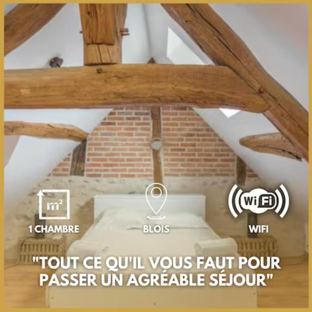 Duplex Joliblois Apartment Exterior photo
